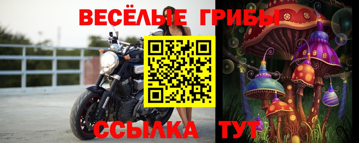 Псилоцибиновые грибы Psilocybe  как найти наркотики  Елизово  Галлюциногенные грибы прущие грибы  Вход с VPN 